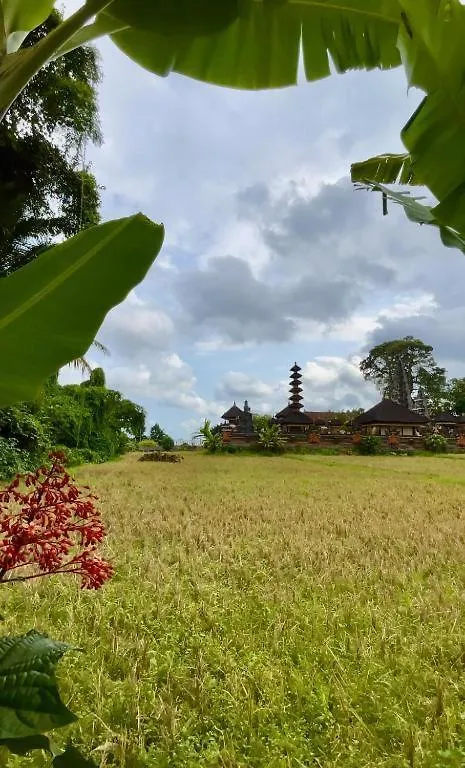 Niki Villa Ubud  Ubud (Bali)