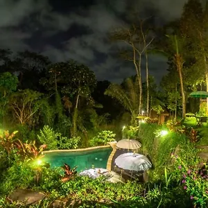 The Jungle Вилла